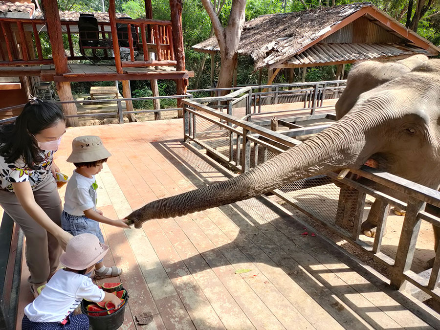 5 ที่เที่ยวต้อนรับปิดเทอม ใกล้กรุง เที่ยวสนุกได้ทั้งครอบครัว